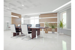 Decoración de tu oficina: 5 CONSEJOS imprescindibles