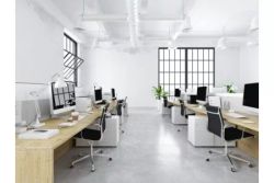 Organizar la oficina. Aprende a usar el FENG SHUI