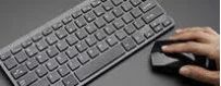 Teclados y ratones