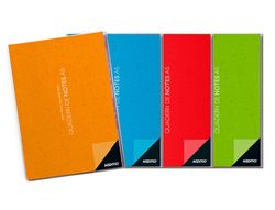 ADDITIO Cuaderno notas profesor A5 Catalan P101