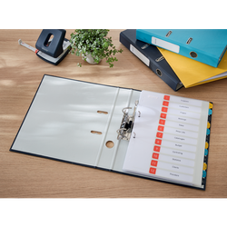 Archivador de palanca Leitz Cosy Cartón forrado. 180º. DIN A4. 50 mm. gris