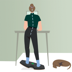 Balance board Leitz Ergo, gris oscuro