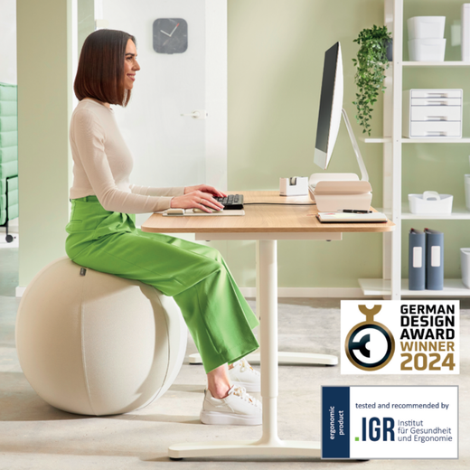 Balón de asiento Active de 55cm antideslizante, gris