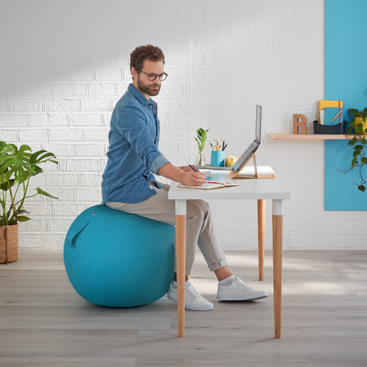 Balón de asiento Active de 65 cm de diámetro Ergo Cosy, azul