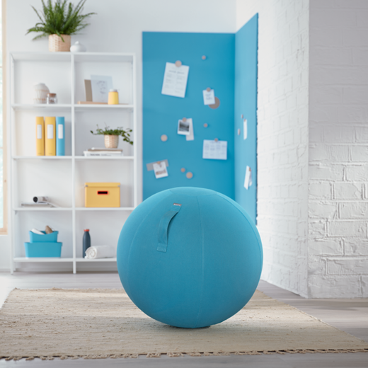 Balón de asiento Active de 65 cm de diámetro Ergo Cosy, azul