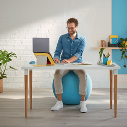 Balón de asiento Active de 65 cm de diámetro Ergo Cosy, azul