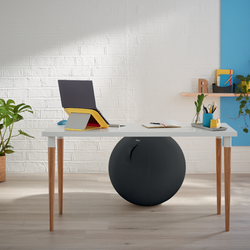 Balón de asiento Active de 65 cm de diámetro Ergo Cosy, gris