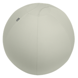 Balón de asiento Active de 75cm antideslizante, gris