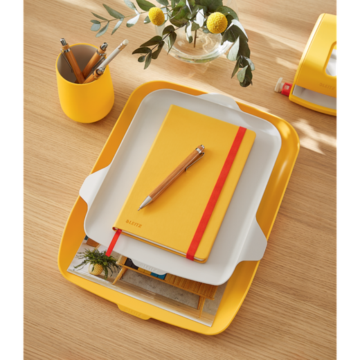 Bandeja organizadora plastico leitz cosy amarillo 274x62x391mm