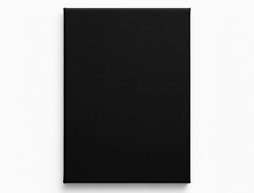 Bastidor negro liderpapel 4p lienzo grapado parte trasera algodon 100% 22x33 cm gramaje 320g/m2 certificado fsc