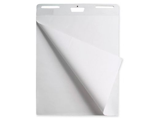 Bloc congreso liderpapel liso 63x84cm 25+5 hojas 80g/m2