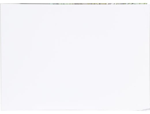 Bloc Dibujo Liderpapel Lineal Espiral 460X325Mm 20 Hojas 180 G/M2 con Recuadroperforado