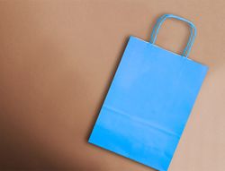 Bolsa papel q-connect celulosa celeste l con asa retorcida 320x400x14 mm