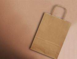 Bolsa papel q-connect celulosa natural liso l con asa retorcida 320x400x14 mm