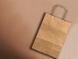Bolsa papel q-connect kraft natural liso xs con asa retorcida 180x240x80 mm