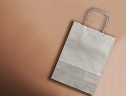 Bolsa papel q-connect kraft plata l con asa retorcida 320x400x14 mm