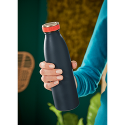 Botella Leitz Cosy 500 ml, gris