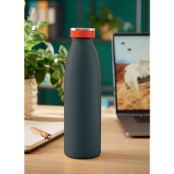 Botella Leitz Cosy 500 ml, gris