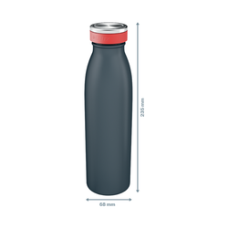Botella Leitz Cosy 500 ml, gris