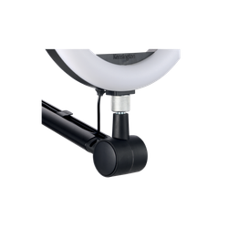 Brazo articulado Kensington A1020