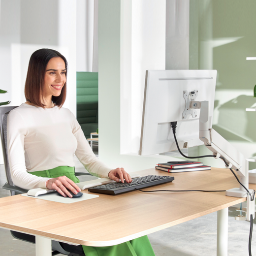 Brazo para un monitor Leitz Ergo SpaceSaving, gris