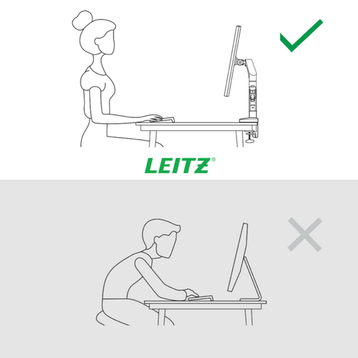 Brazo para un monitor Leitz Ergo SpaceSaving, gris