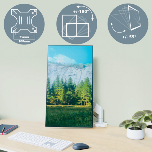 Brazo para un monitor Leitz Ergo SpaceSaving, gris