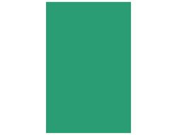 CANSON Cartulina 50 Hojas A4 Verde Amazonas 185 gr 200040174