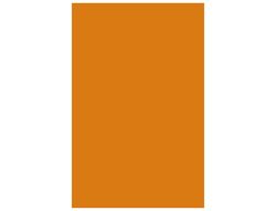 CANSON Cartulina IRIS 50 Hojas A3 Naranja 185 gr. 200040188