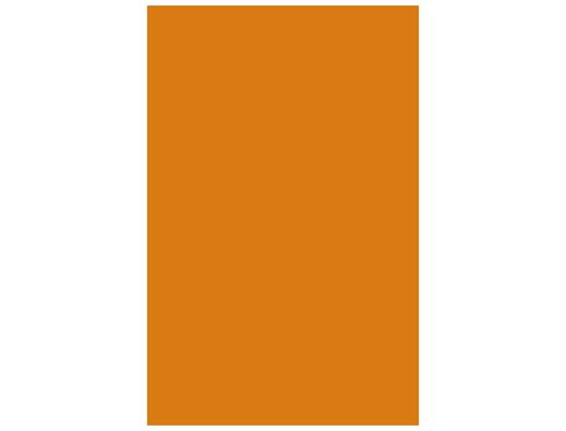CANSON Cartulina IRIS 50 Hojas A3 Naranja 185 gr. 200040188