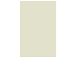 CANSON Cartulina IRIS 50 Hojas A4 Crema 185 gr. 200040153