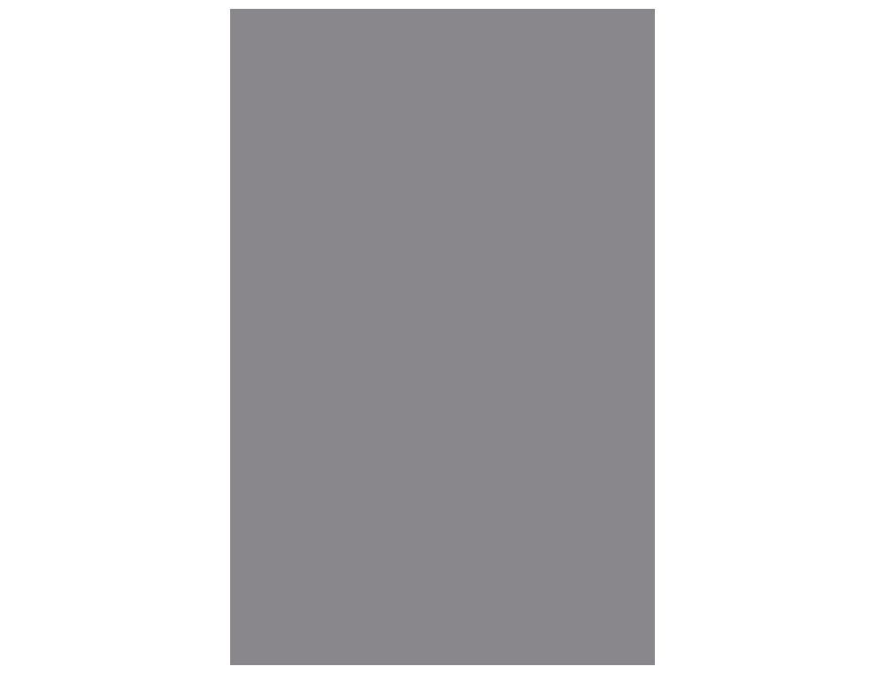 CANSON Cartulina Iris 50 Hojas A4 Gris perla 185 g 200040177