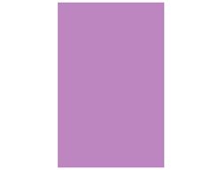 CANSON Cartulina IRIS 50 Hojas A4 Lila 185gr 200040164