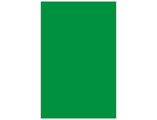 CANSON Cartulina IRIS 50 Hojas A4 Verde billar 185gr 200040172