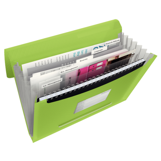 Carpeta acordeón Esselte Vivida. PP. Con 6 separadores, verde Vivida