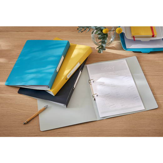 Carpeta anillas Leitz Cosy, 2 x 25mm RR, DIN A4, azul