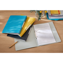 Carpeta anillas Leitz Cosy, 2 x 25mm RR, DIN A4, gris