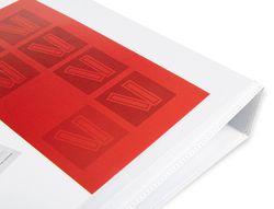 Carpeta Canguro 4 Anillas Mixtas 25Mm Liderpapel A4 Plastico Blanca