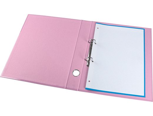 Carpeta de 2 anillas 25 mm mixtas liderpapel a4 forrado color system con ollao y tarjetero rosa