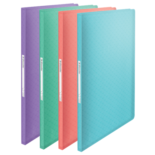 Carpeta de fundas Esselte Colour'Breeze PP. Tapas flexibles. 40 fundas. DIN A4, surtidos