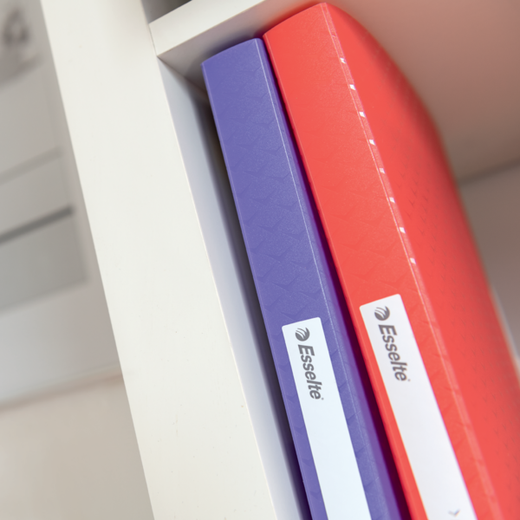 Carpeta de fundas Esselte Colour'Breeze PP. Tapas flexibles. 80 fundas. DIN A4, coral