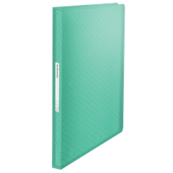 Carpeta de fundas Esselte Colour'Breeze PP. Tapas flexibles. 80 fundas. DIN A4, verde