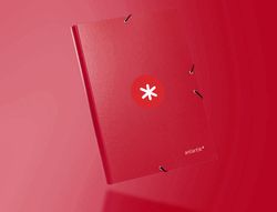 Carpeta liderpapel antartik gomas A4 3 solapas carton forrado color frambuesa