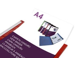 Carpeta liderpapel canguro 2 anillas 25 mm mixtas polipropileno din A4 transparente