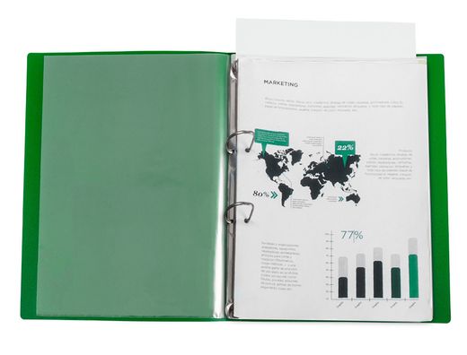 Carpeta liderpapel canguro 2 anillas 25 mm mixtas polipropileno din a4 verde translucido