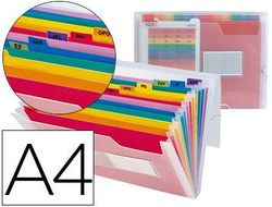 Carpeta Liderpapel Clasificador Fuelle 42159 Polipropileno A4 Tte 2 Huecos Tarjetas Spectrafile 13 Dpto