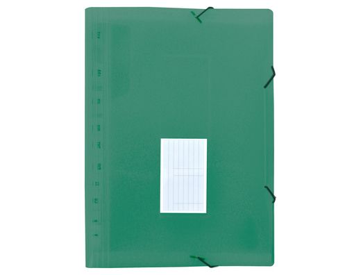 Carpeta liderpapel clasificador fuelle polipropileno din a4 verede opaco 13 departamentos