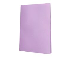 Carpeta liderpapel escaparate 10 fundas polipropileno DIN A4 lavanda opaco