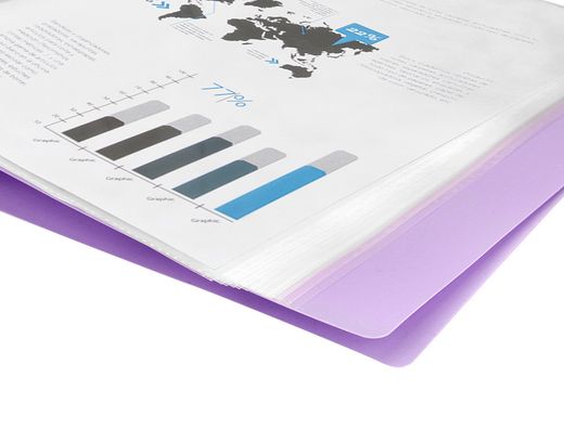 Carpeta liderpapel escaparate 10 fundas polipropileno DIN A4 lavanda opaco
