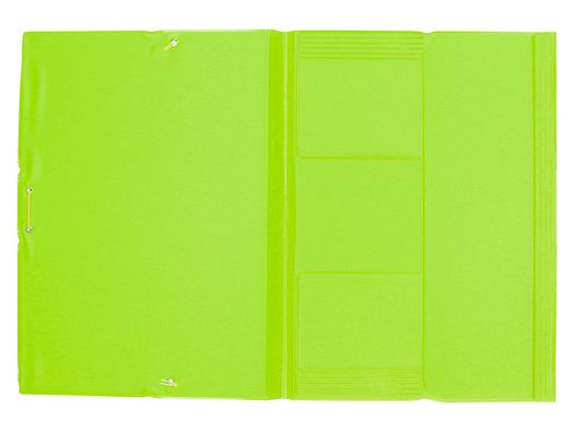 Carpeta Liderpapel Gomas Plastico Folio Solapa Color Verde Pistacho
